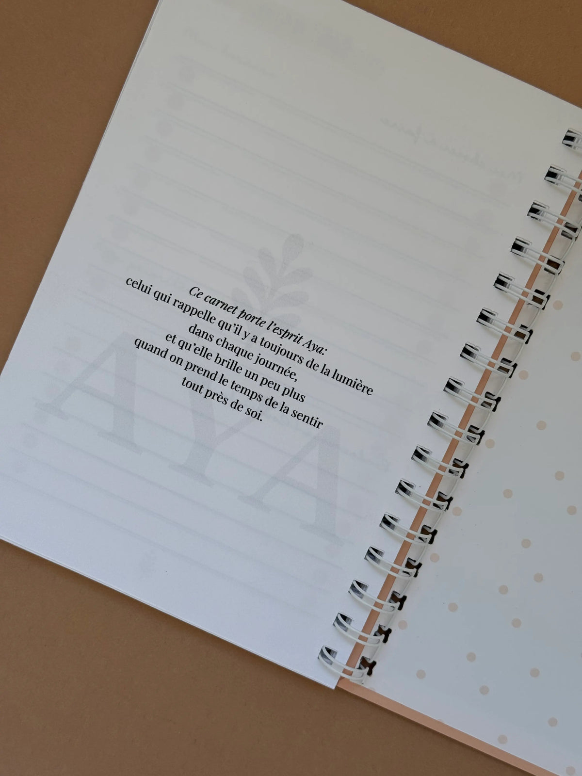 MON JOURNAL DE BORD — CARNET D’ORGANISATION